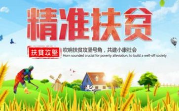 精准扶贫个人工作总结范文7篇