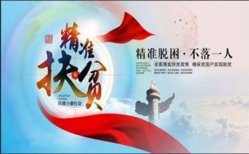 扶贫的个人工作总结6篇