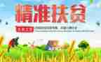 精准扶贫个人工作总结范文7篇