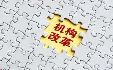 小学课程改革心得体会8篇