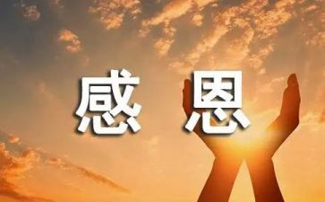 感恩老师心得体会精选5篇