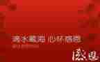 有关感恩的演讲稿800字5篇