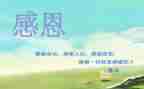 感恩动心得体会精选6篇