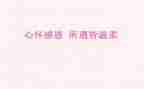 感恩老师演讲稿300字8篇
