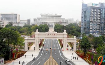 高校教师专业工作总结8篇