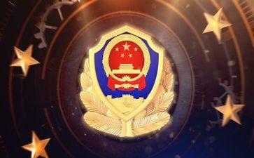 公安个人年度总结7篇