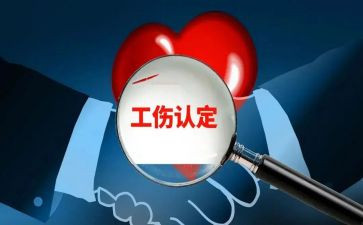 工伤保险科2024年工作总结优质6篇