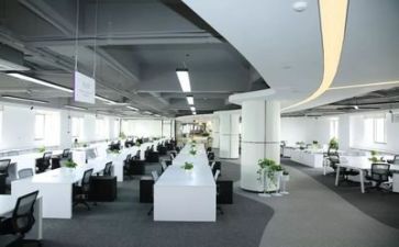 公司活动心得最新5篇