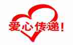 公益周心得体会800字5篇