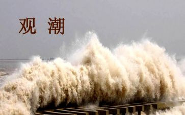 观潮教学反思教学反思优秀7篇