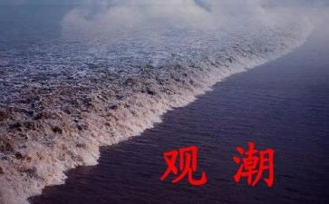 观潮一课读后感精选8篇