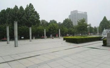关于写广场舞的作文5篇