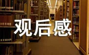 《创青春》观后感心得体会8篇