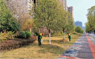 路产管护年终总结7篇