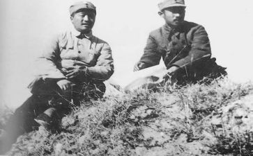 关向应故事读后感500字8篇