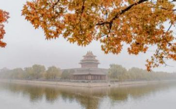 参观故宫心得7篇