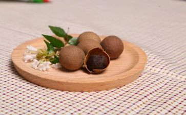 桂圆的教案5篇