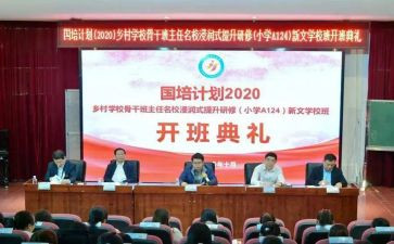 国培计划2.0研修总结最新7篇