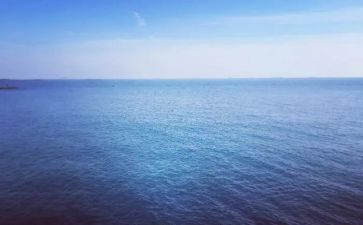 海归就业力调查报告参考6篇