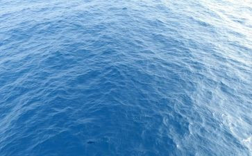 海归就业力调查报告优质6篇