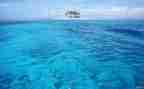 海蝶音乐教案6篇