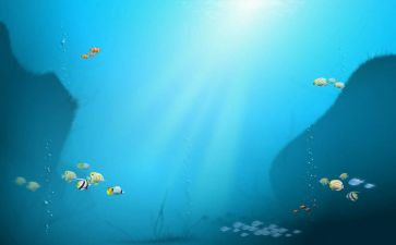 《海底两万里》心得体会最新5篇