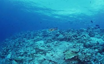 海底两万里读后感600字7篇