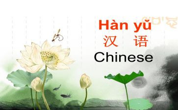 汉语言文字自查报告6篇