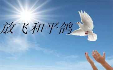 战争与和平的读后感400字6篇