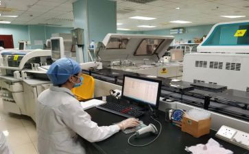 标后检查工作总结通用6篇