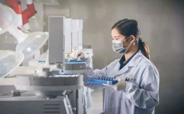 化验试用期工作总结6篇