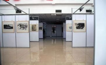 参观画展的观后感8篇