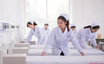 护理总结报告5篇
