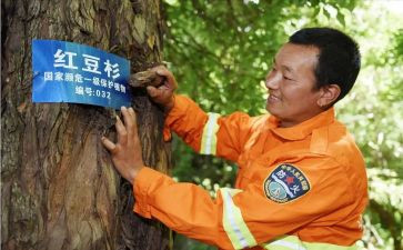 护林员年度总结报告优质7篇