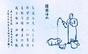 爱护生命的演讲稿6篇