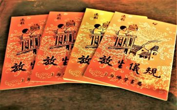 关于保护生态环境的作文7篇