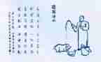 爱护生命的演讲稿6篇