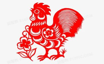 分小鸡教案7篇