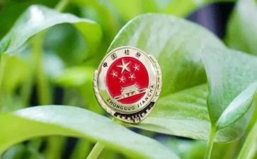 检察2023年工作计划7篇
