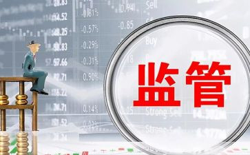 2024监管工作总结5篇