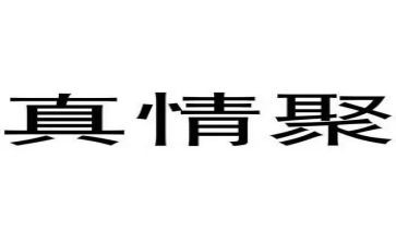 真情作文500字优秀作文6篇