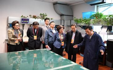 监委会工作总结及计划5篇