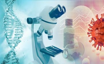 检验师个人年度总结最新8篇