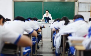 新教师年度工作总结7篇