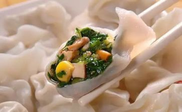 画饺子的教案精选5篇