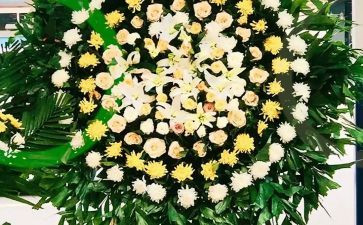 清明节祭奠先烈演讲稿8篇