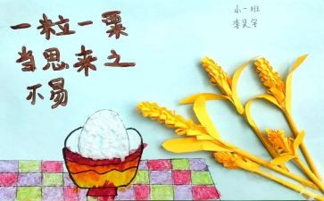 青春节粮心得体会模板8篇