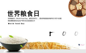 青春节粮心得体会5篇