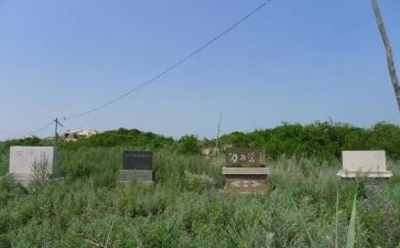 冀鲁边精神心得体会优质8篇