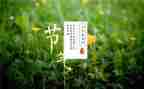 小班24节气教案推荐6篇